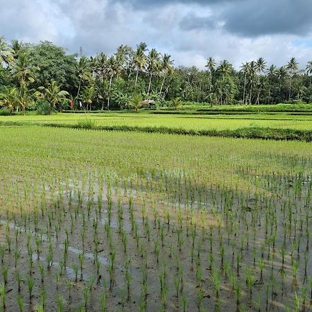 New 4 Bedroom Villa Surrounded By Jungle And Ricefields Ubud Kültér fotó