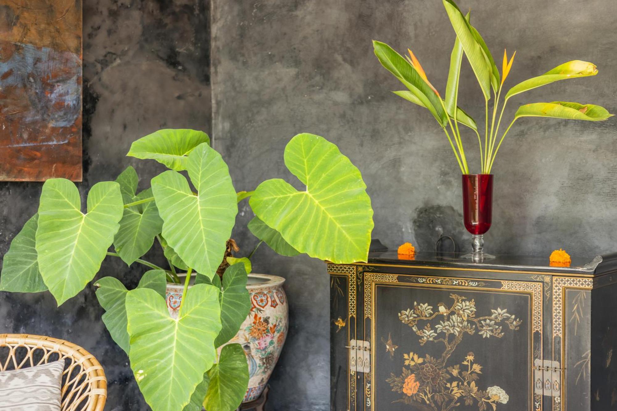 New 4 Bedroom Villa Surrounded By Jungle And Ricefields Ubud Kültér fotó